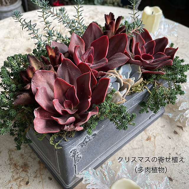 mamisazさんの部屋