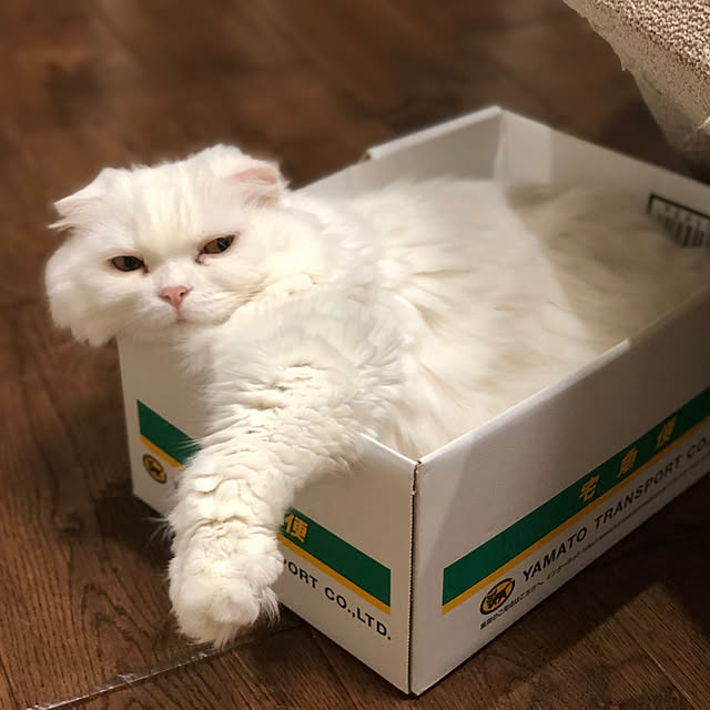 youさんの実例写真
