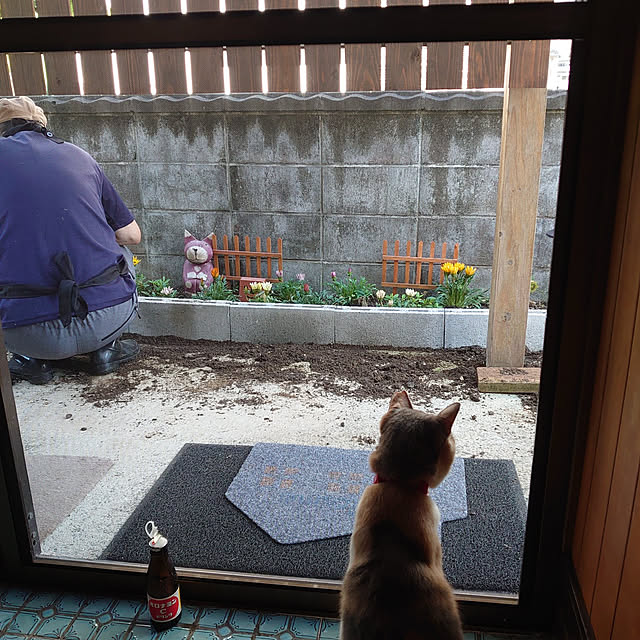 fukuさんの実例写真