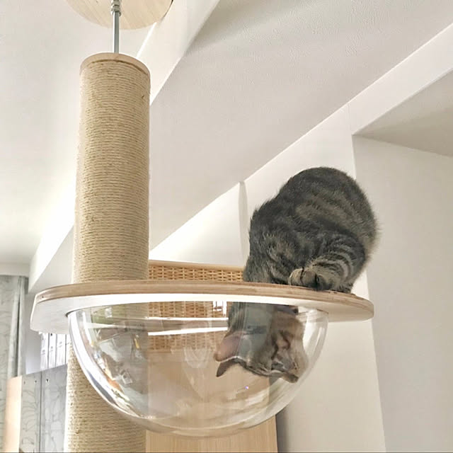 pochiさんの実例写真
