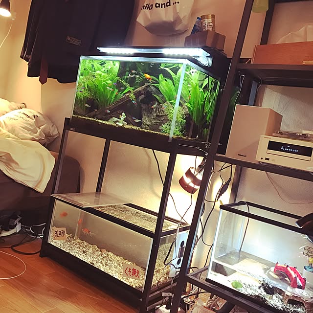 hirokiさんの実例写真