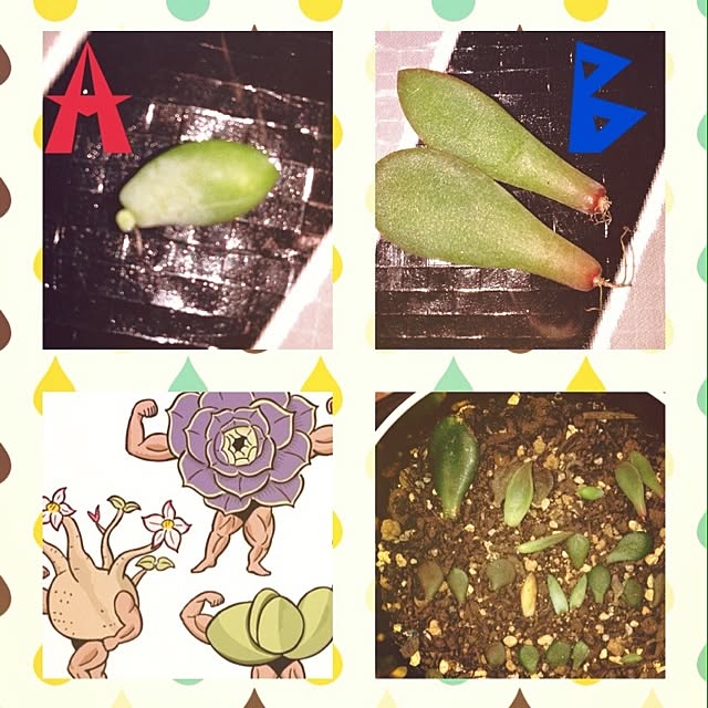 an-ckさんの実例写真
