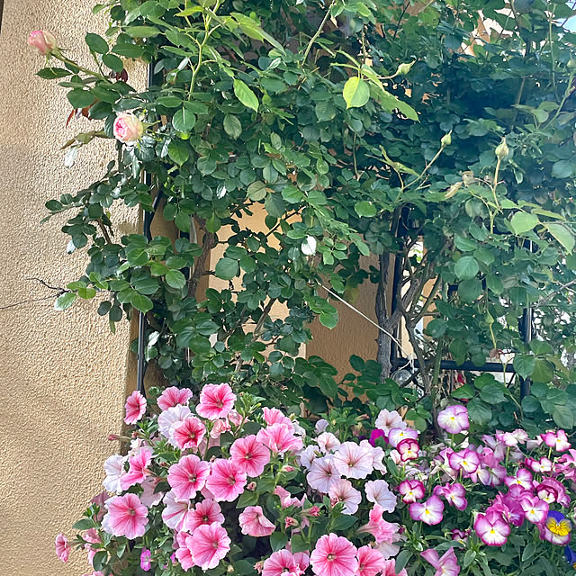 asako.10さんの部屋