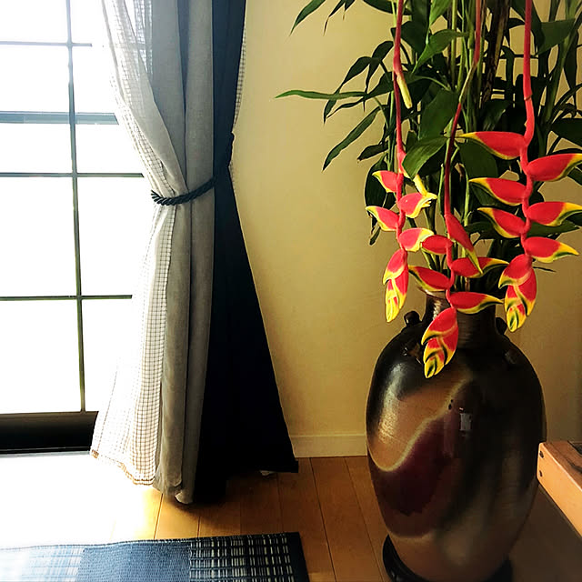 syungikuさんの実例写真