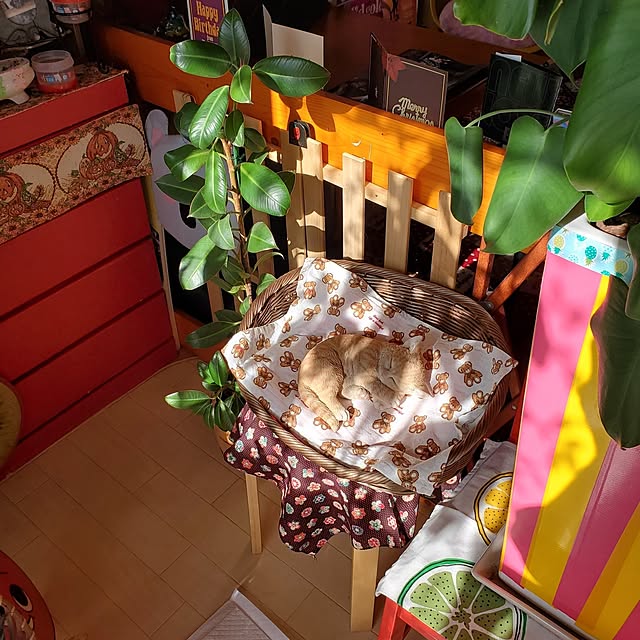 kumutanさんの実例写真