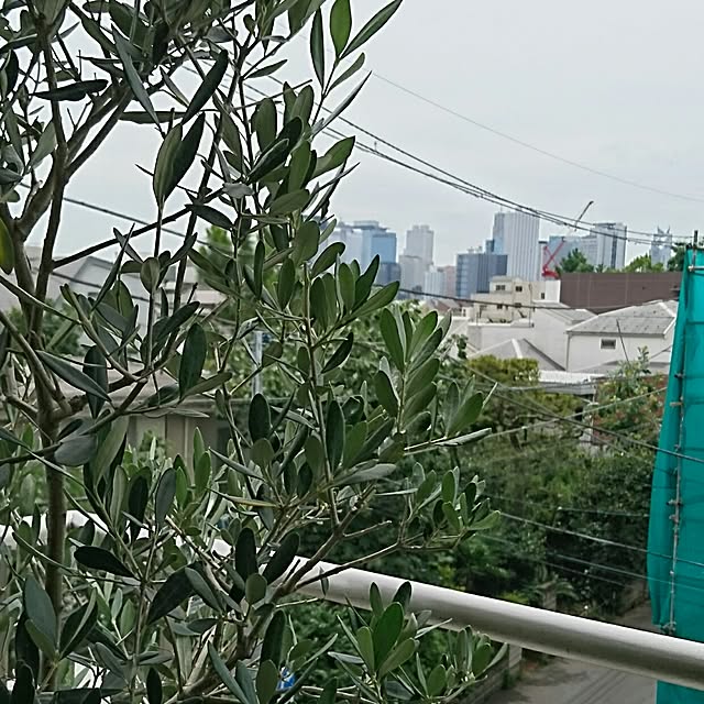 bonobono54さんの実例写真