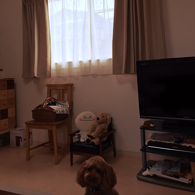 kotorihinaさんの実例写真