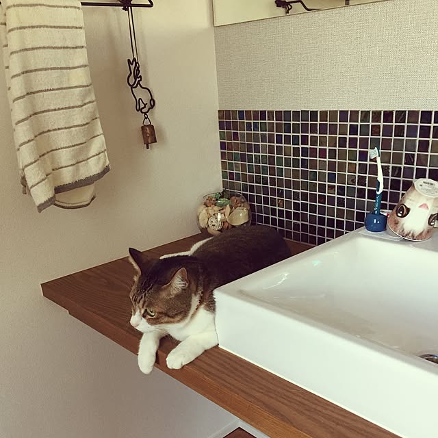 Kasumiさんの実例写真