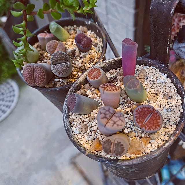 mocomocoさんの部屋