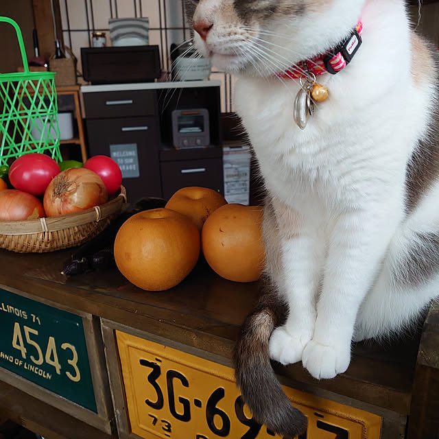 fukuさんの実例写真