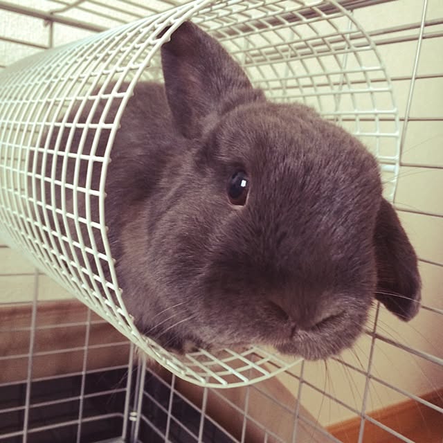 aoiさんの実例写真