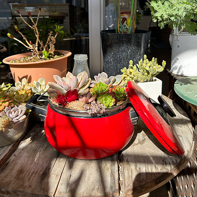 suemonta14さんの部屋