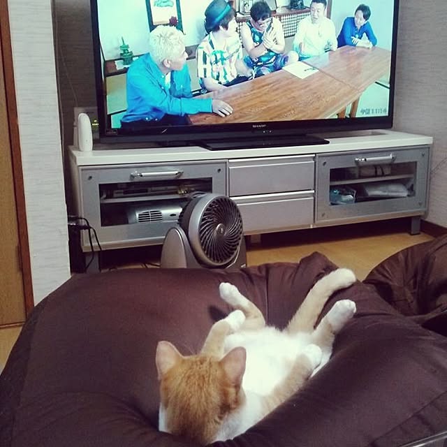 Shuichiさんの実例写真