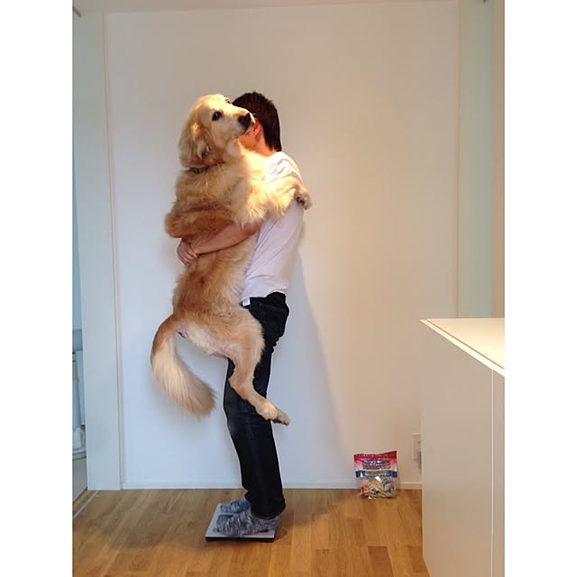 hamninさんの実例写真