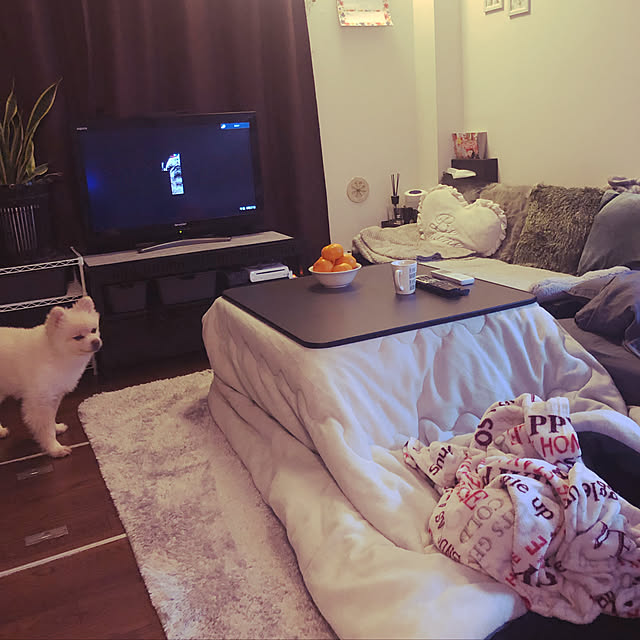 sacchiさんの実例写真