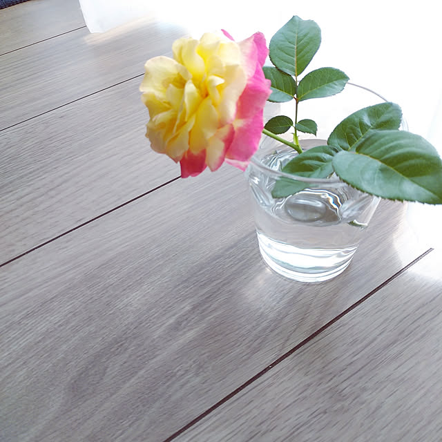 rose36さんの実例写真