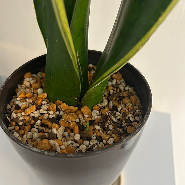 kananaさんの部屋