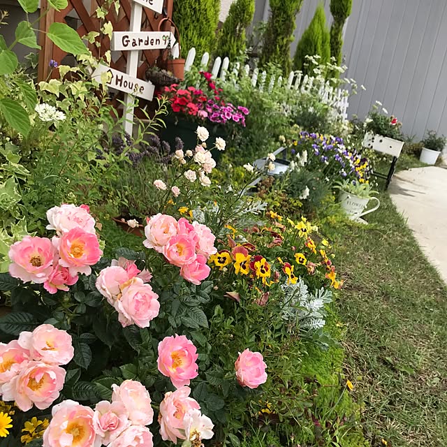 mini_archさんの実例写真