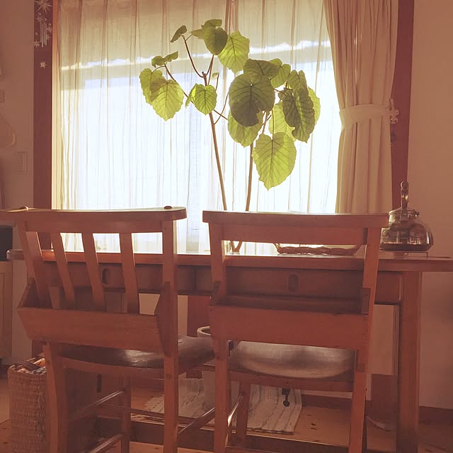 hana-iku-rinさんの実例写真