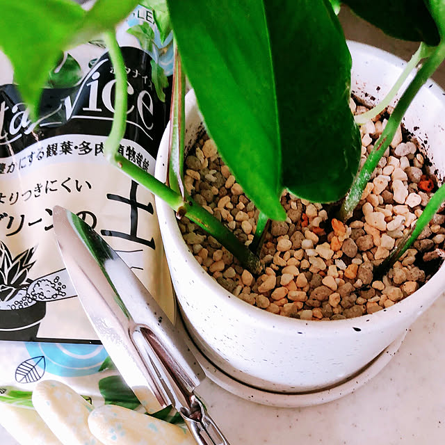 milkcocoaさんの部屋