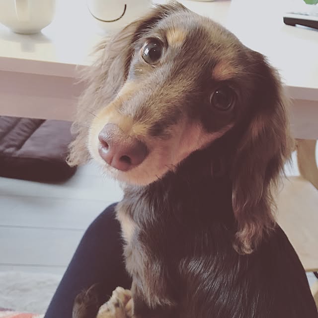 ivufuuさんの実例写真