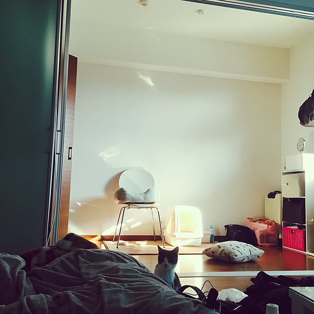 naatanさんの実例写真