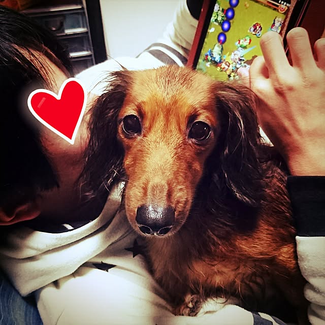 andさんの実例写真