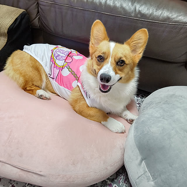 megusuke39さんの実例写真