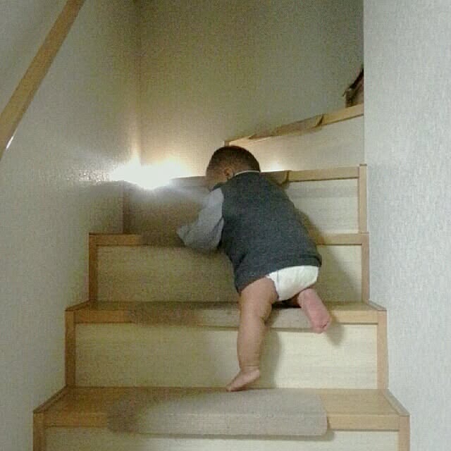 rponさんの実例写真