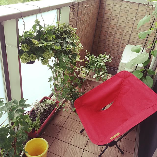 Mayumiさんの実例写真