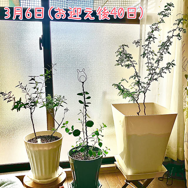 kagomamaさんの部屋