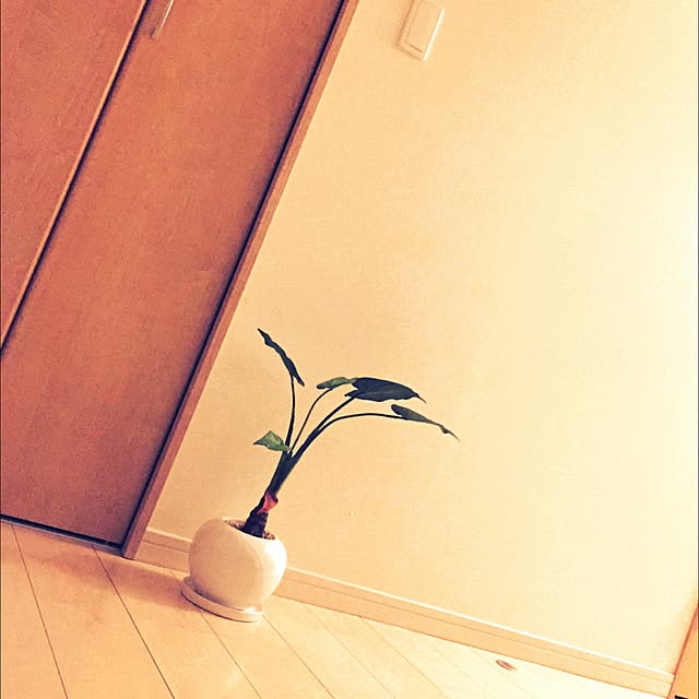 Yuya_Funabaさんの実例写真