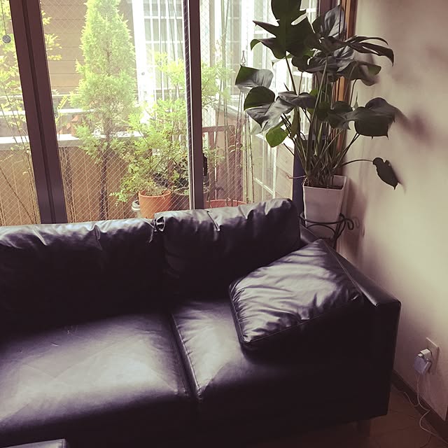 june.0107さんの実例写真