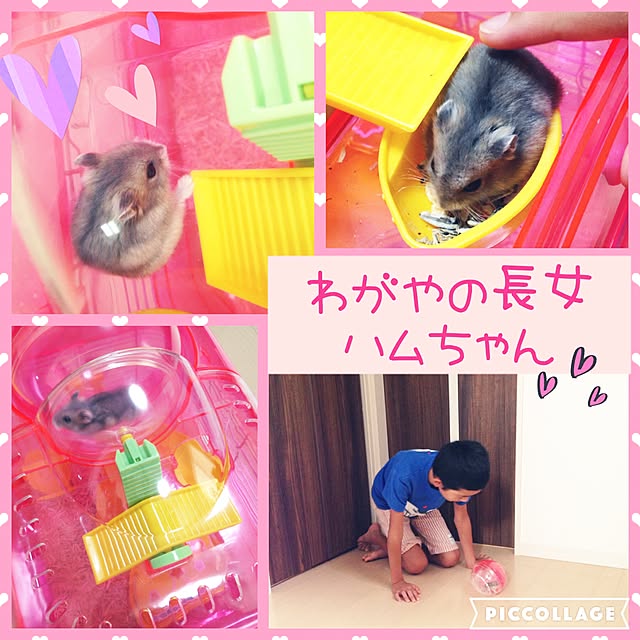 Midoriさんの実例写真