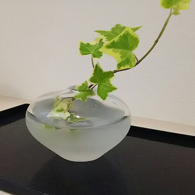 chihiroさんの実例写真
