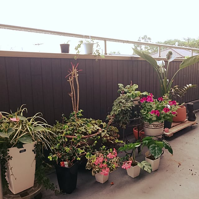 yukixx328さんの実例写真