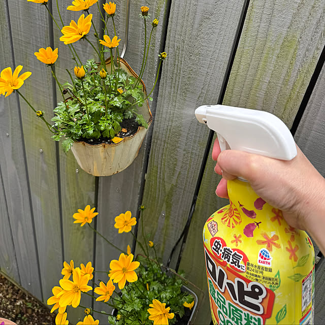 67さんの部屋