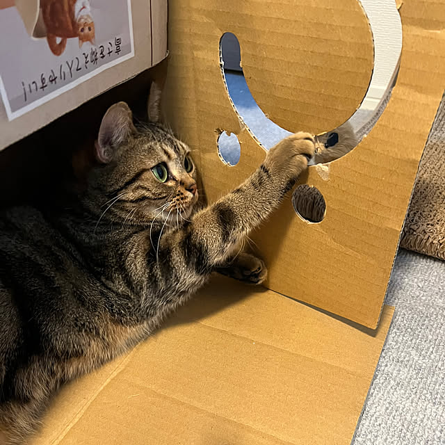 karinさんの部屋