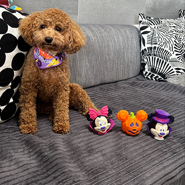 poohさんの実例写真