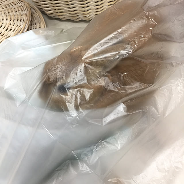 Yasuyukiさんの実例写真