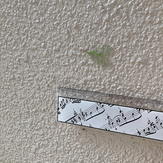 mamimamiさんの部屋
