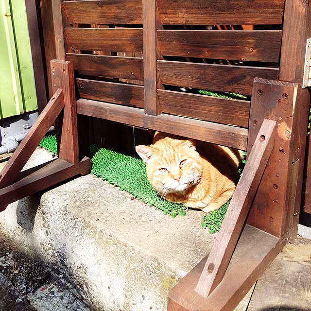 raindropさんの実例写真