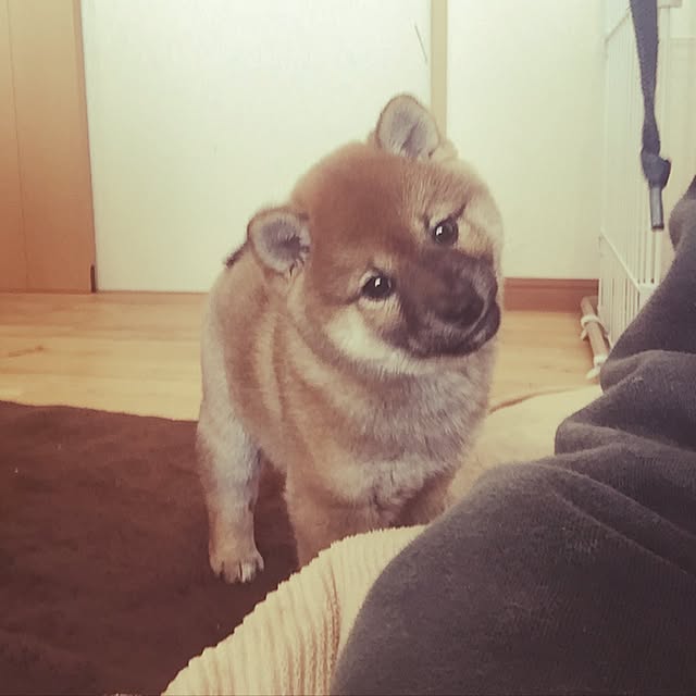 yunamiriさんの実例写真