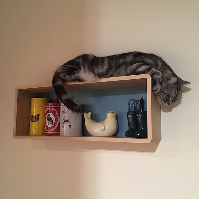 mikomaruさんの実例写真