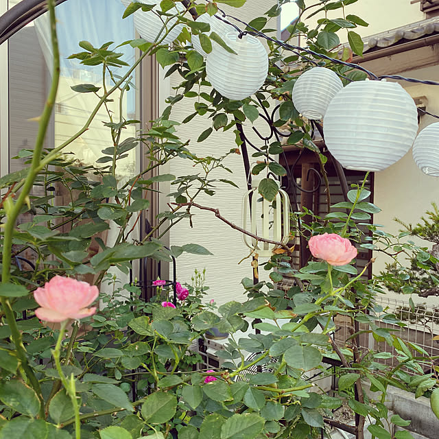 sariさんの部屋