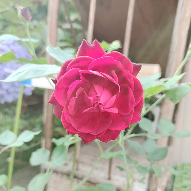 kiraさんの実例写真