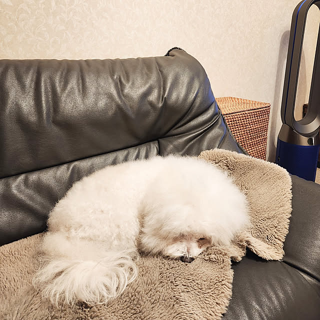 takoさんの実例写真