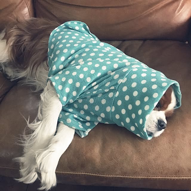 miyaさんの実例写真