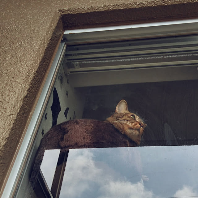 futukoさんの実例写真