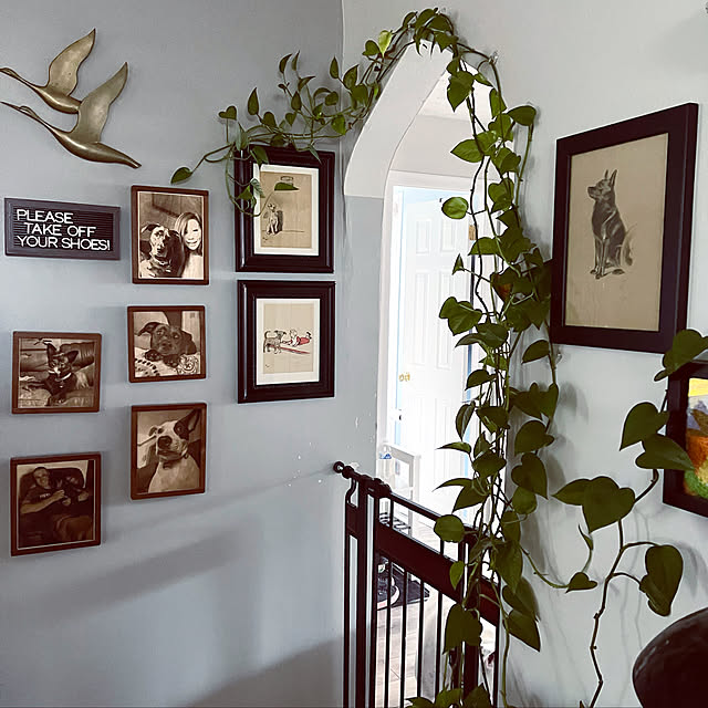 アートのある暮らし/mid century/アメリカンハウス/観葉植物/わんこと暮らす家...などのインテリア実例 - 2021-10-03 05:52:30